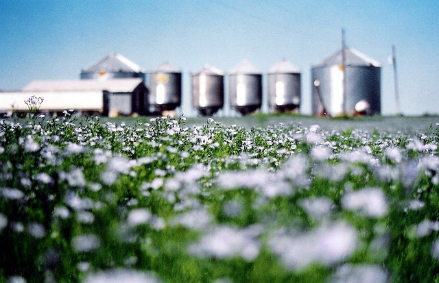 After bringing together the laboratories, technical and research centres, which are a reference point for the European textile and clothing industries, CELC hopes to make Observatoire accessible to leading providers of quality and control services. © Loco Steve