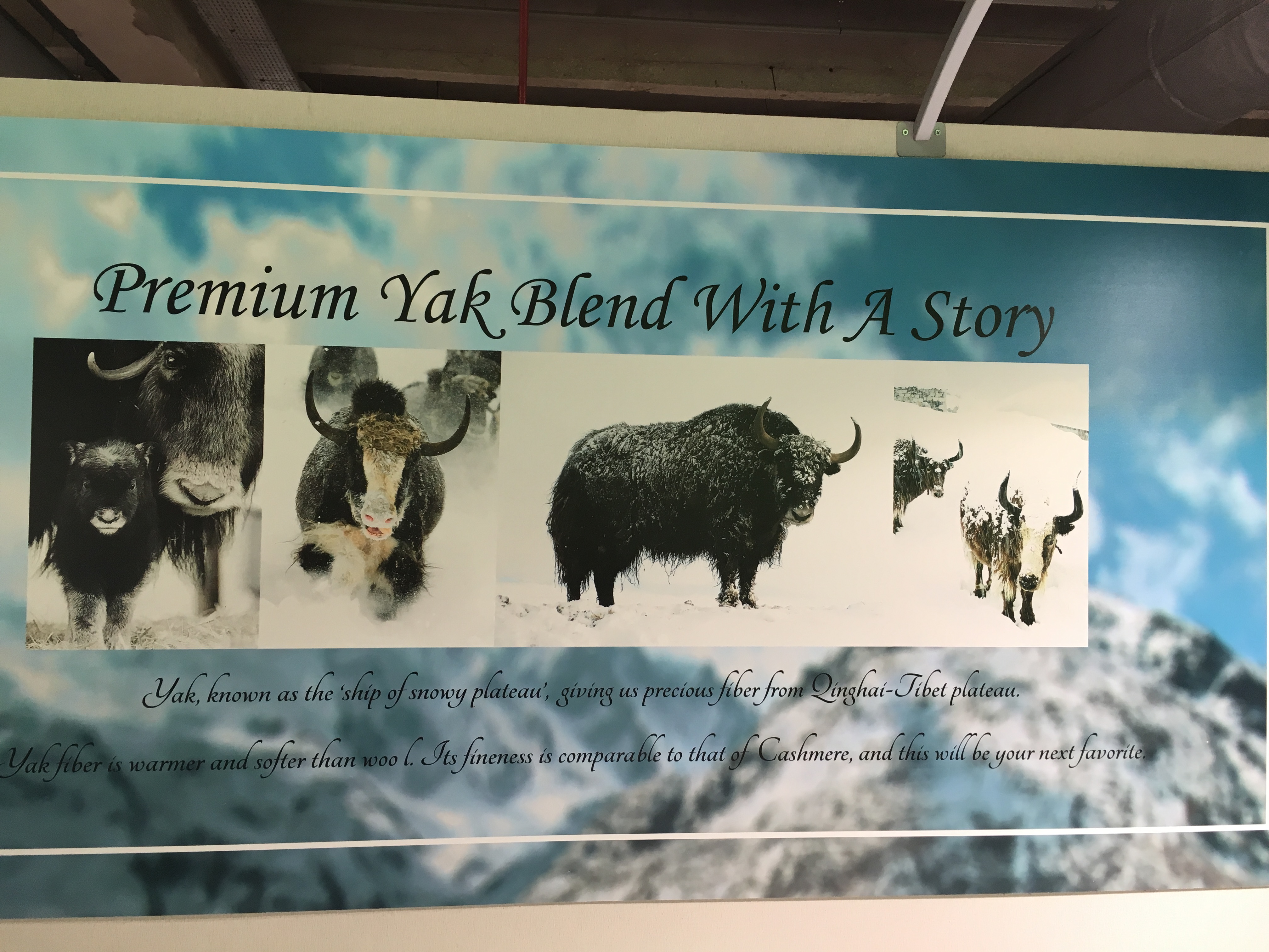Yak blend yarns featured at Esquel Group.