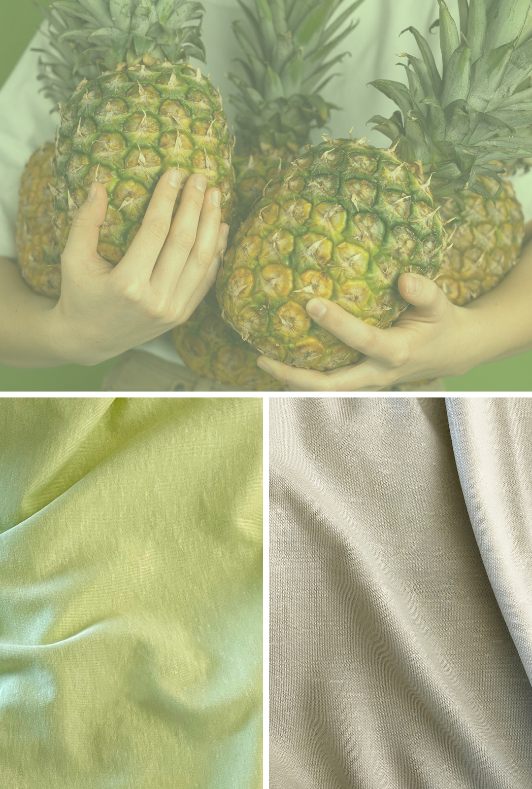 Polopiqué knits made from pineapple fibre. © Polopiqué