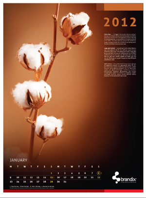 Sri Lanka's leading knitted apparel exporter Brandix has paid tribute to the passion that gave birth to, and has sustained the textile industry, in another informative calendar that continues the Group tradition of providing more than a simple guide to the days, weeks, and months of the year.