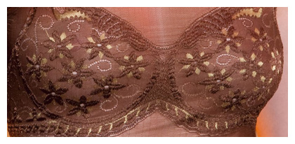 Bra detail