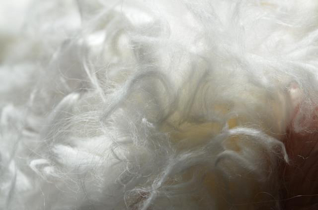 Caregora fibre close up. © Naturfasern