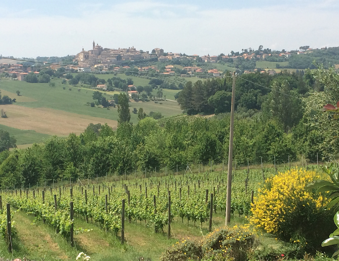 The ancient walled hill town of Corinaldo. Some of Italy’s finest knitwear producers can be found in the unlikely setting of the beautiful hills of the Marche region.