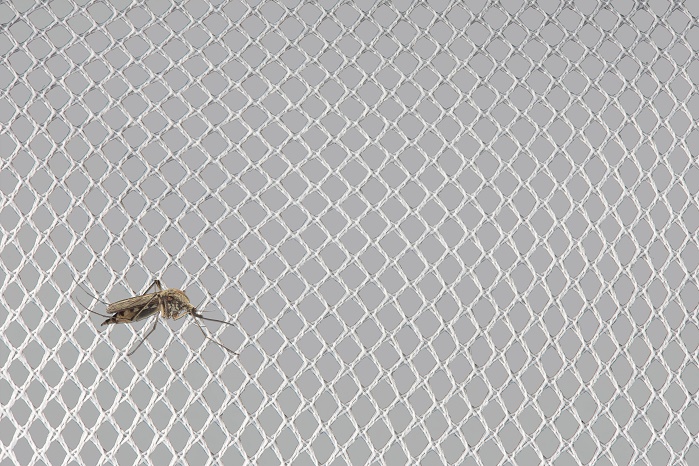 Construction of a warp-knitted mosquito net. © Karl Mayer