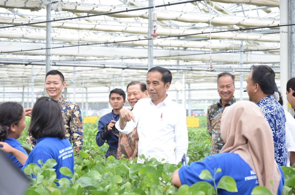 The President of Indonesia, Joko Widodo (centre), pictured during a tour of the new Asia Pacific Rayon (APR) production facility in Pangkalan Kerinci, Riau province, Sumatra, with Anderson Tanoto, Director, RGE (left), RGE Founder and Chairman Sukanto Tanoto (centre/left), and the Minister of Industry, Agus Gumiwang Kartasasmita (right). © APR.