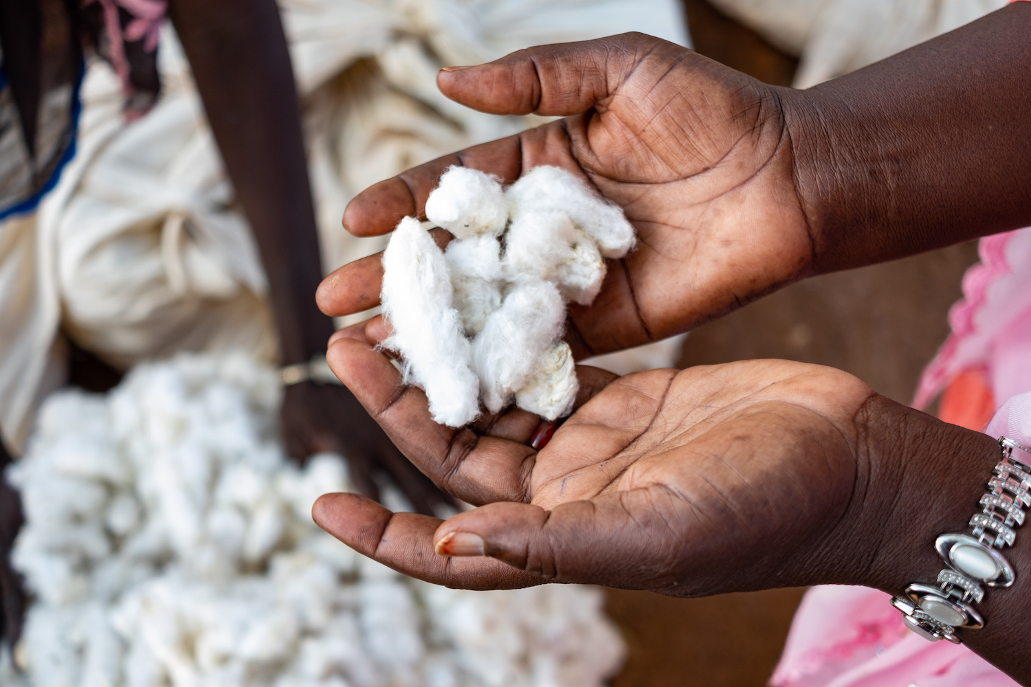 Support for cotton farmers urged at COP27