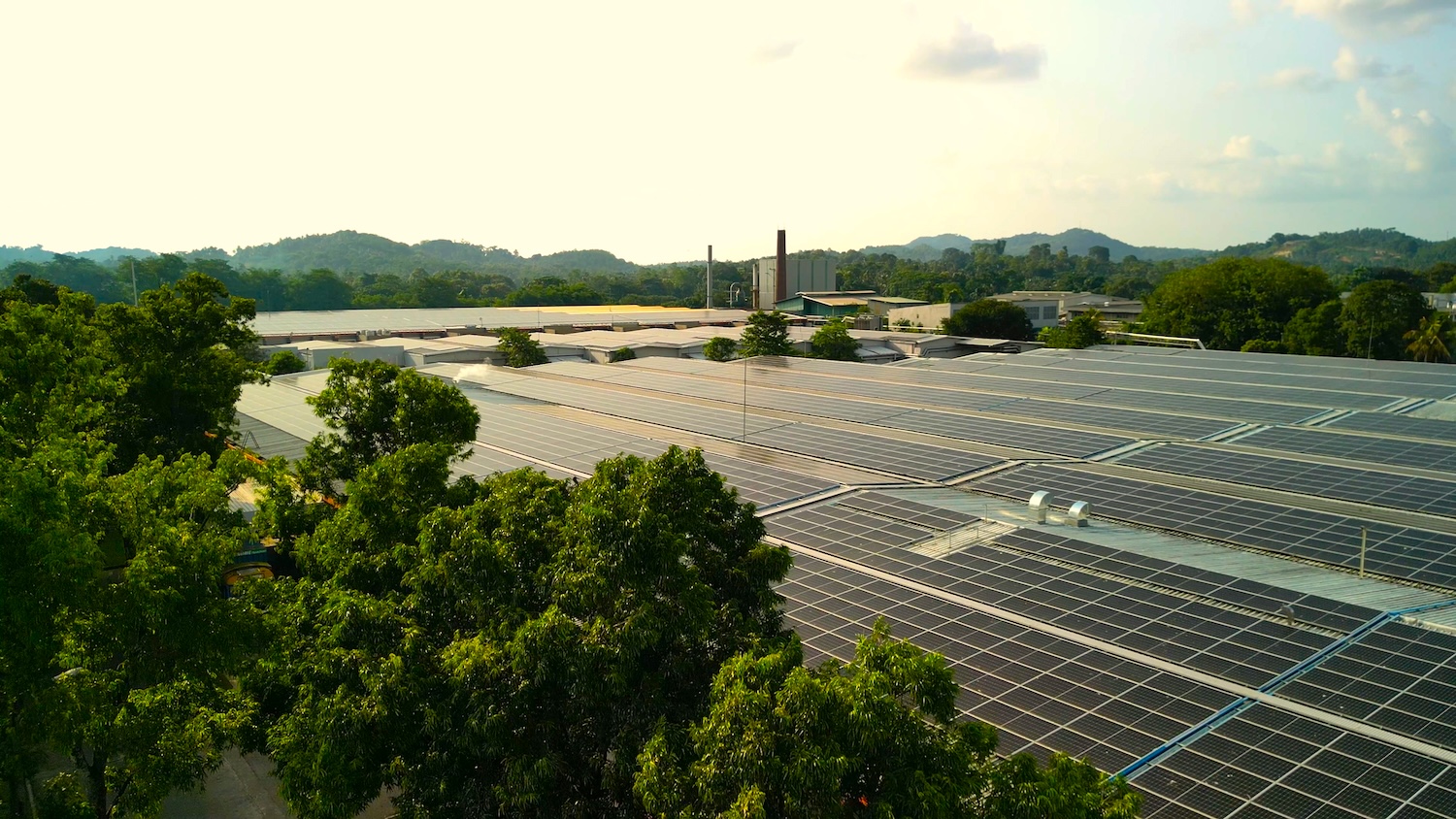 MAS’ new solar capacity will save approximately 18,000 Tons of Carbon Dioxide (CO2) each year and covers an area equivalent to 10 cricket grounds with the capacity to power approximately 34,000 households.