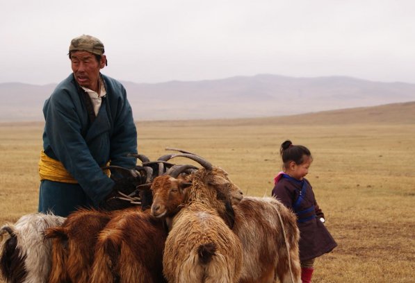 Mongolian herders endure temperatures of up to minus 40°C. © SFA